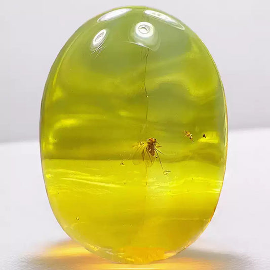 Burmese Amber with Flawlessly Preserved Bee Insect