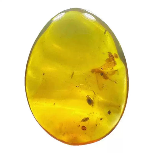 Cerambycidae Insect Inclusion in Raw Burmese Amber