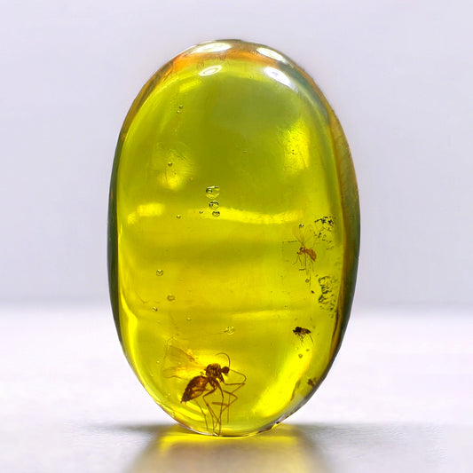 Pair of Mosquito Fossils in Raw Clear Amber