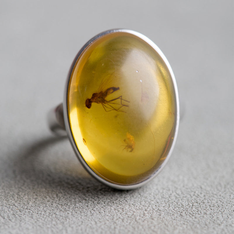 Timeless Treasure One of a Kind Fossil Amber Ring