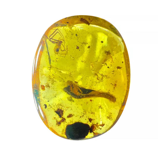 Amber with Rare Fossil Spider Inclusion From Burmese