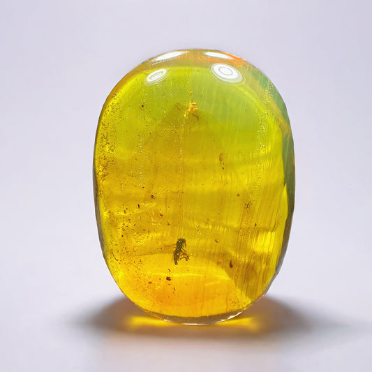 Perfectly Preserved Bee Fossil Inclusion in Burmese Amber