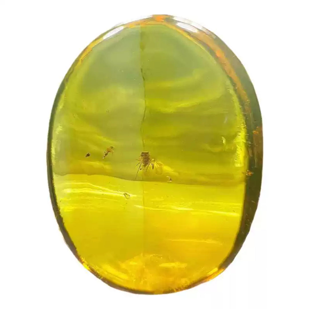Burmese Amber with Flawlessly Preserved Bee Insect