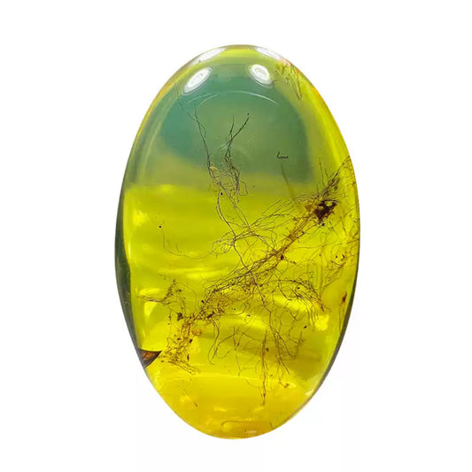 Rare Natural Spider Silk Fossil Inclusion in Burmese Amber