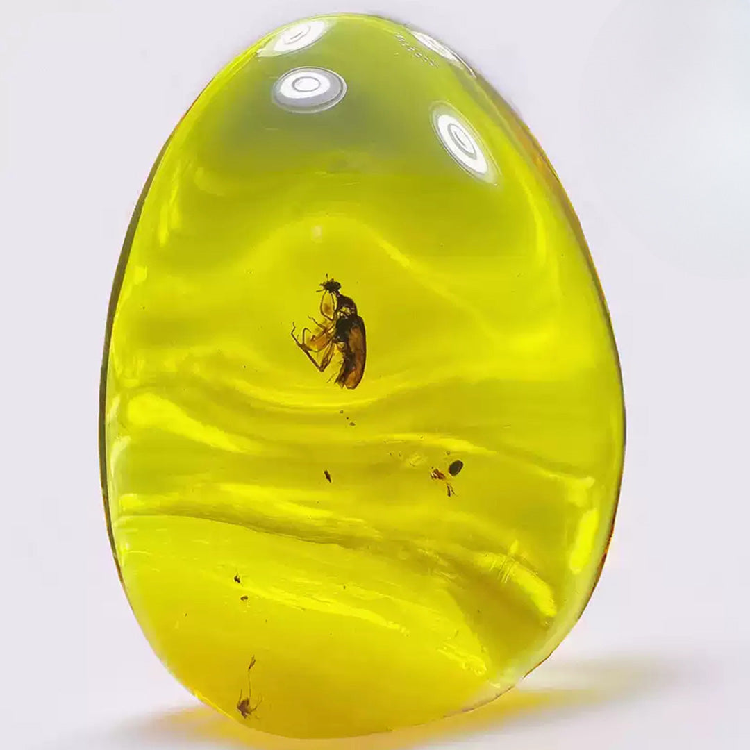 Burmese Amber with Red Fluorescent Insect Trapped for Million Years