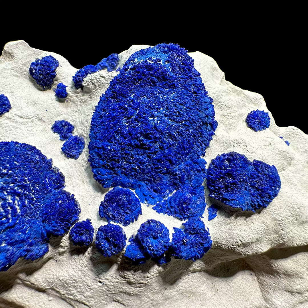 338g Vibrant Blue Azurite Suns on Siltstone