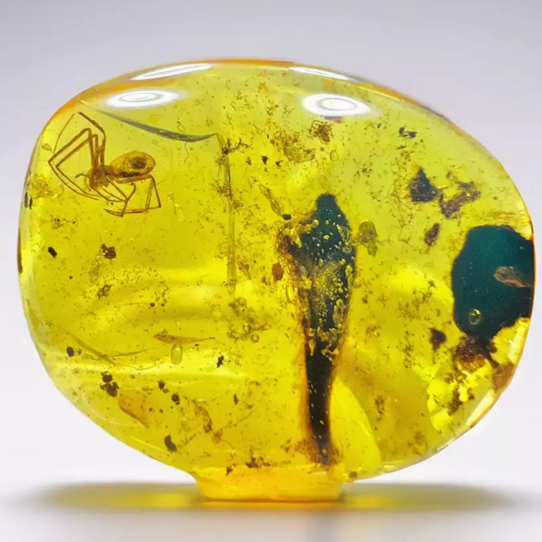 Amber with Rare Fossil Spider Inclusion From Burmese
