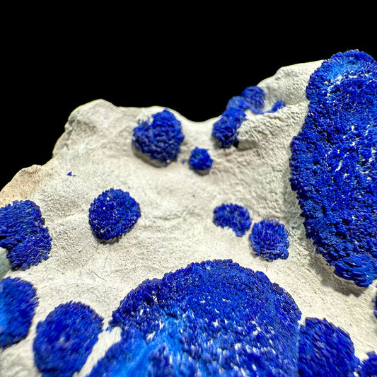 338g Vibrant Blue Azurite Suns on Siltstone