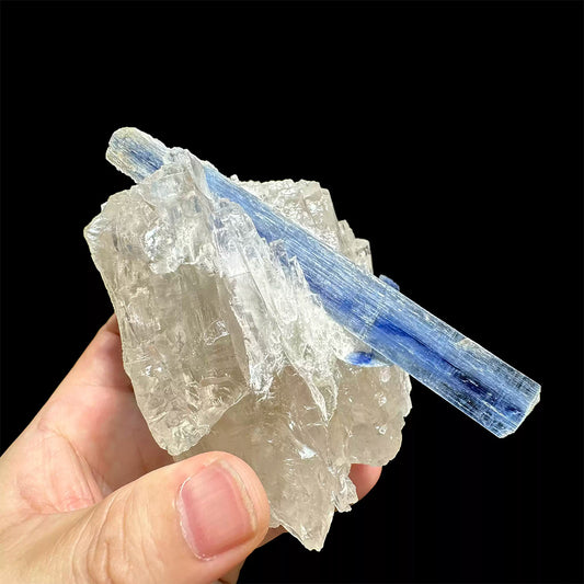 590g Madagascar 4.61" Vibrant Blue Kyanite In Quartz Specimen