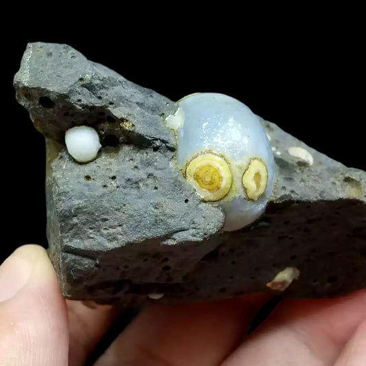 79g Rare Alashan Dzi Agate Eye Stone for Collectors