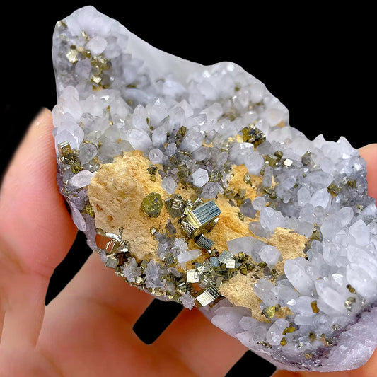 251g Crystal Cluster with Pyrite Paragenesis Mineral Specimen