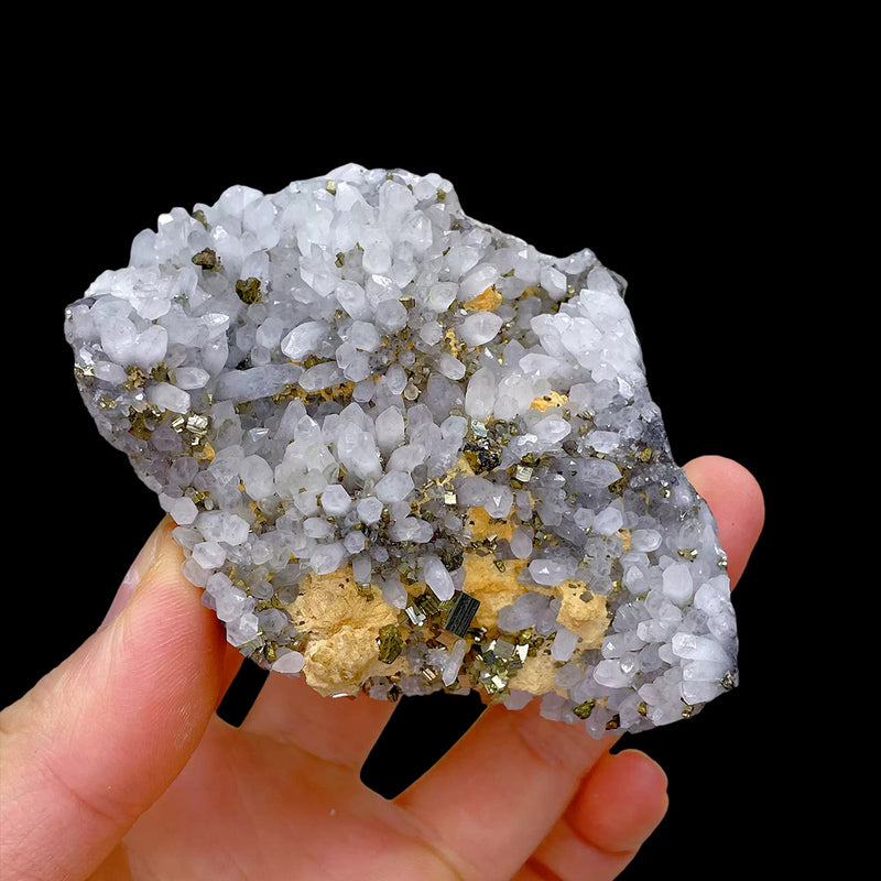 251g Crystal Cluster with Pyrite Paragenesis Mineral Specimen