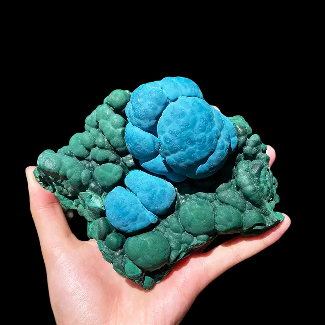 864.5g Exceptional Chilean Blue-Green Malachite Raw Gemstone