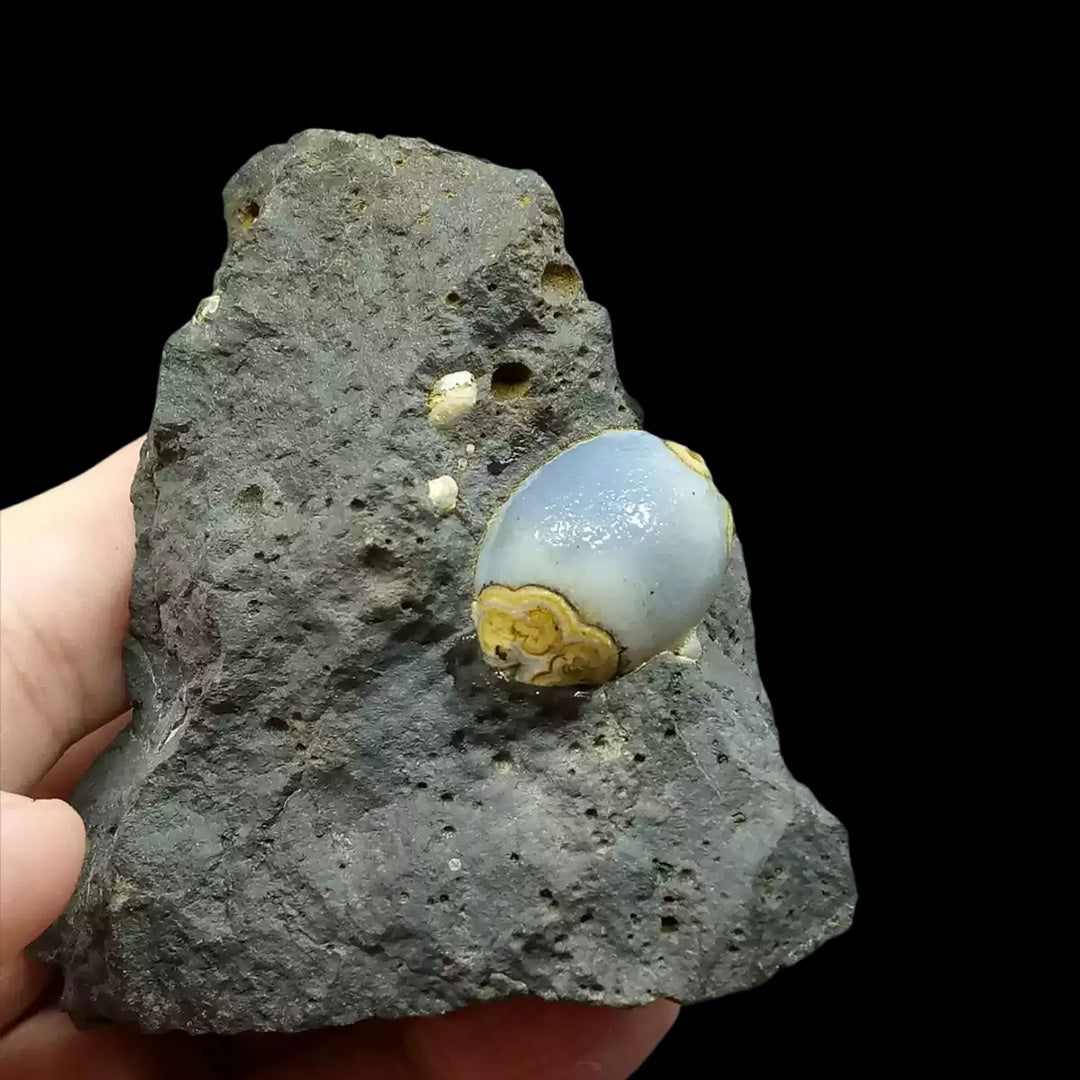 79g Rare Alashan Dzi Agate Eye Stone for Collectors