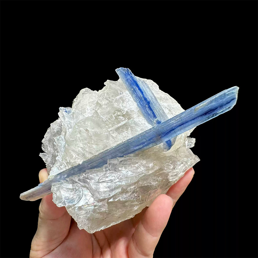 590g Madagascar 4.61" Vibrant Blue Kyanite In Quartz Specimen