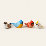 DIY Hand-Painted Wooden Bird Collection