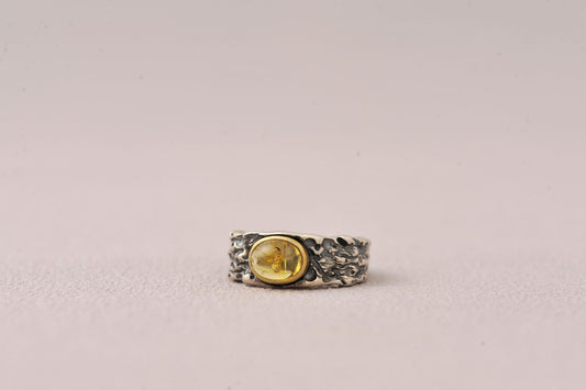 Insect Messenger in Time Loop Amber Ring