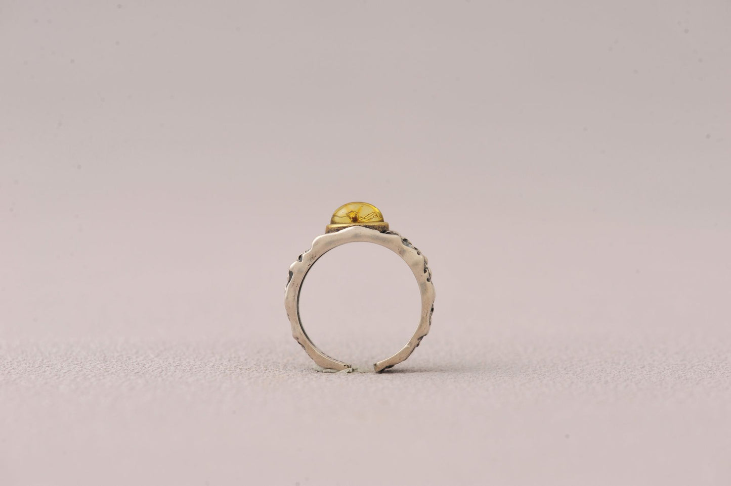 Insect Messenger in Time Loop Amber Ring