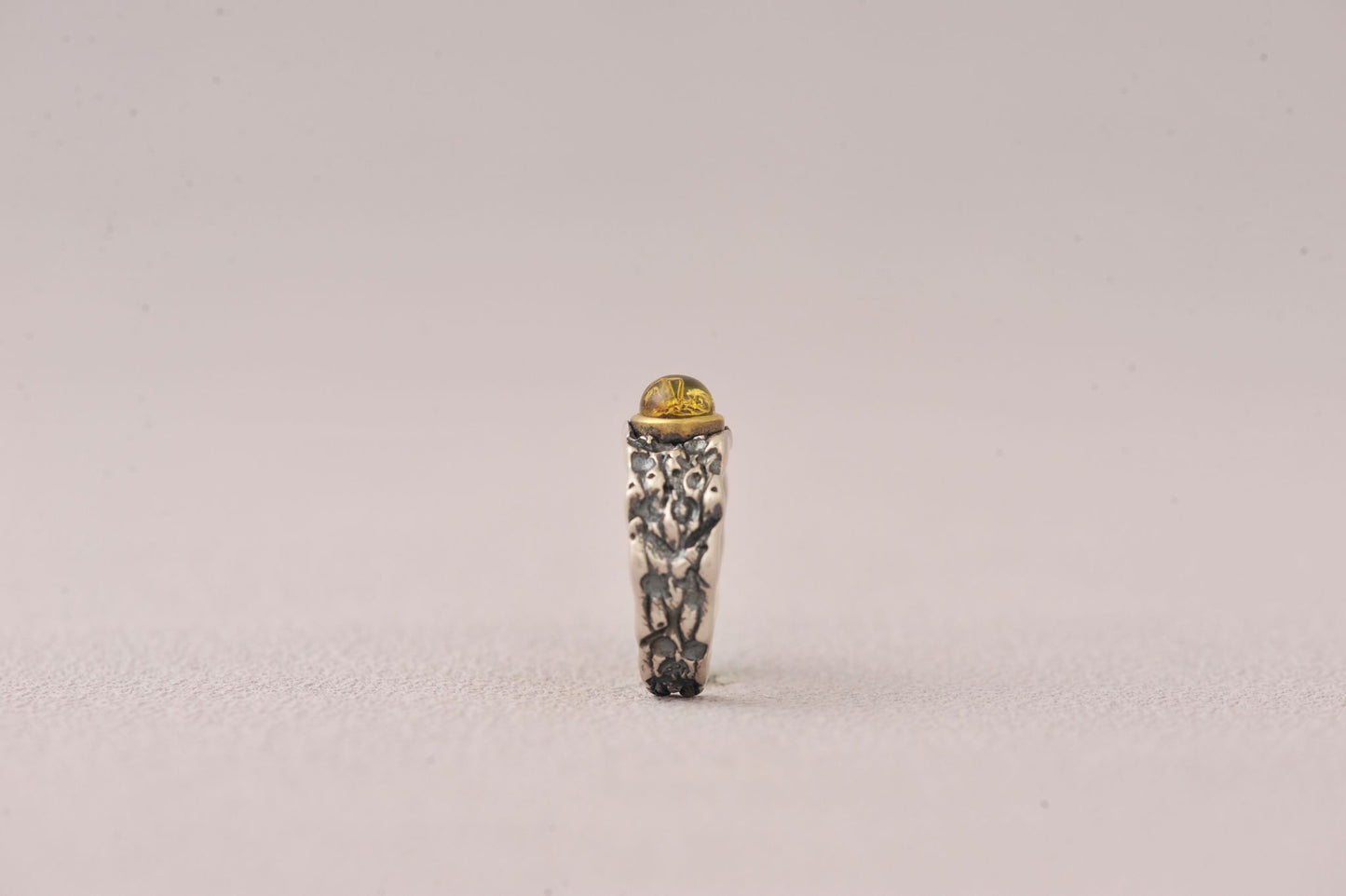 Insect Messenger in Time Loop Amber Ring