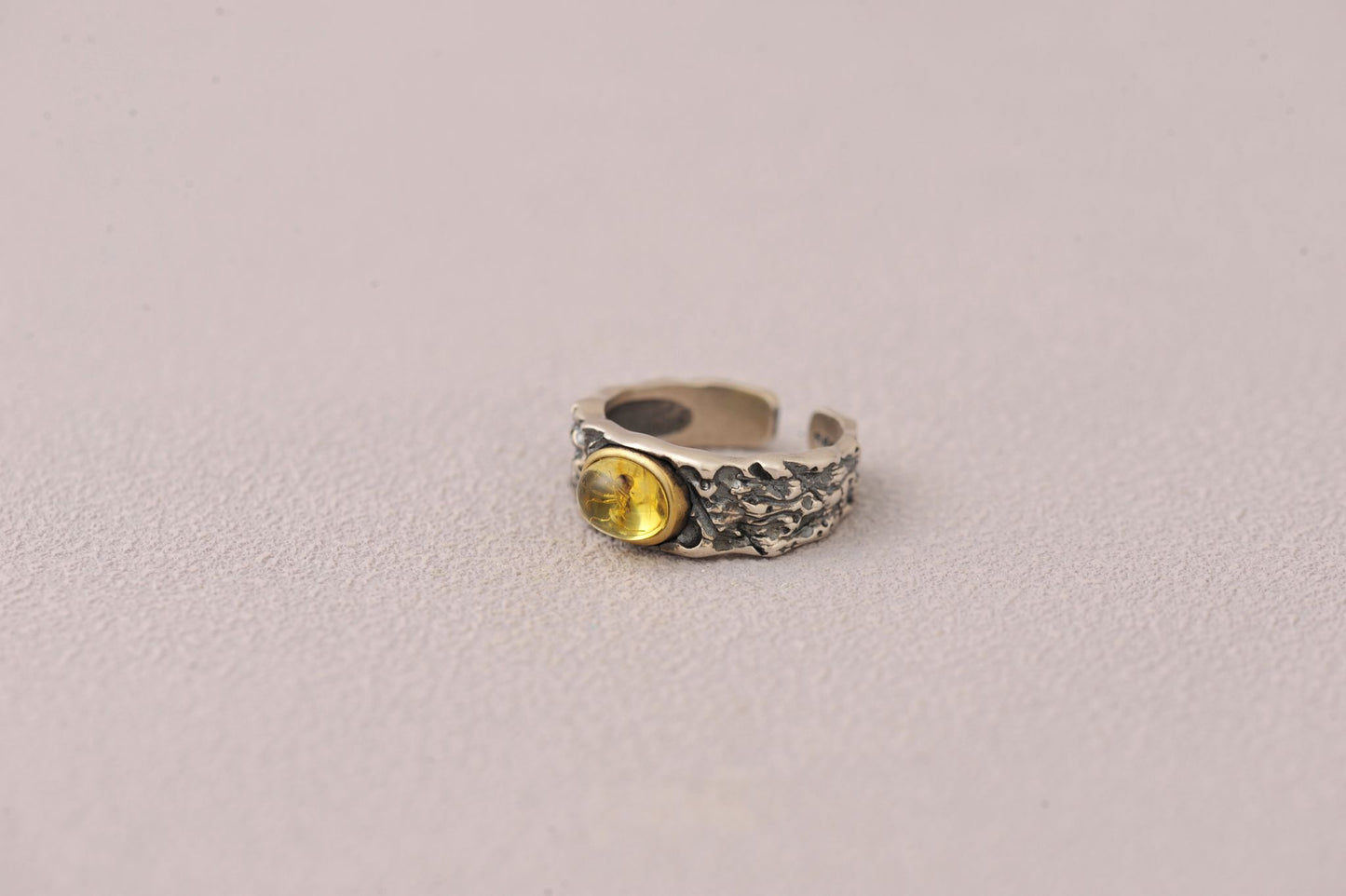 Insect Messenger in Time Loop Amber Ring