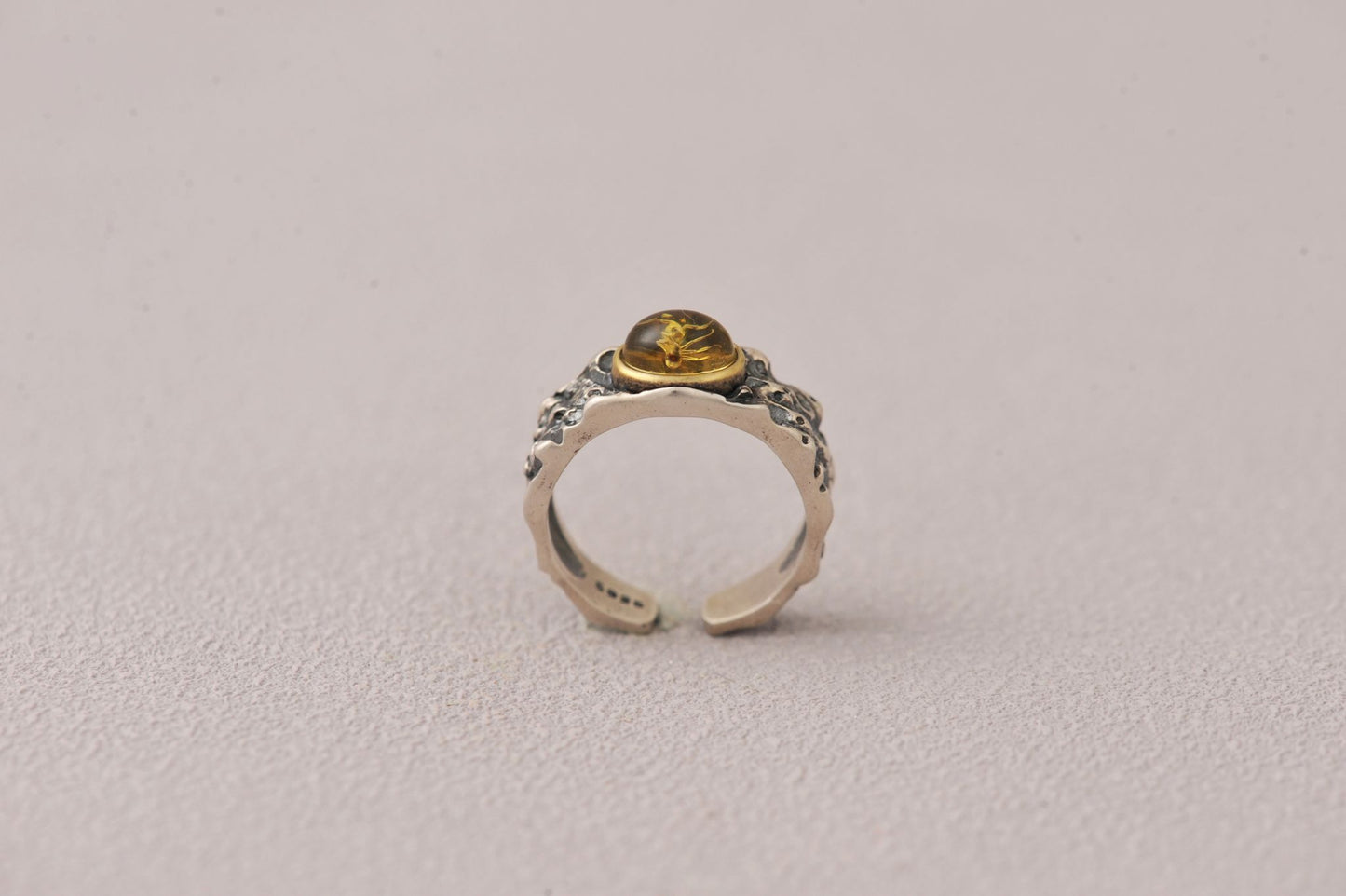 Insect Messenger in Time Loop Amber Ring