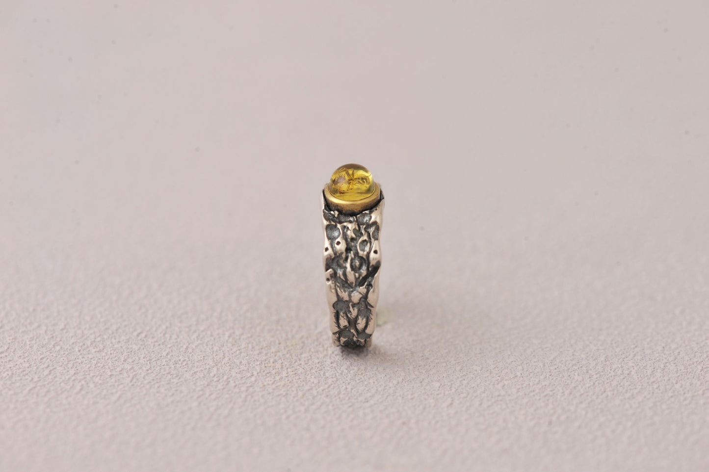 Insect Messenger in Time Loop Amber Ring