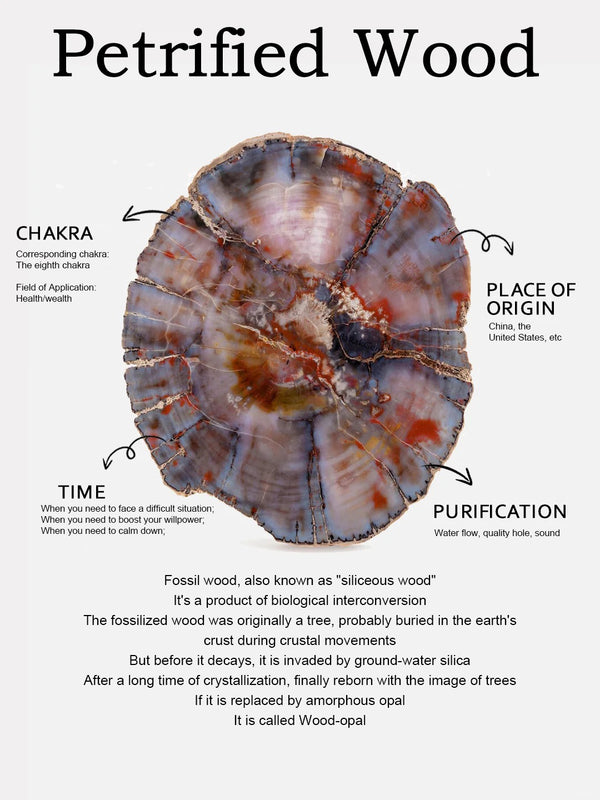 Petrified Wood