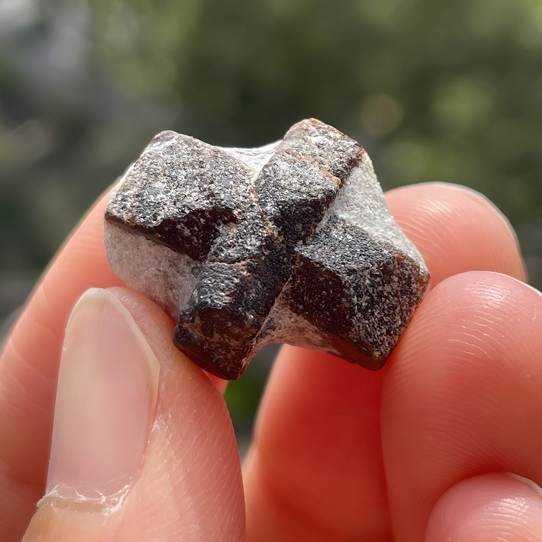 5.8g  Heaven's Cross Staurolite Natural Specimen