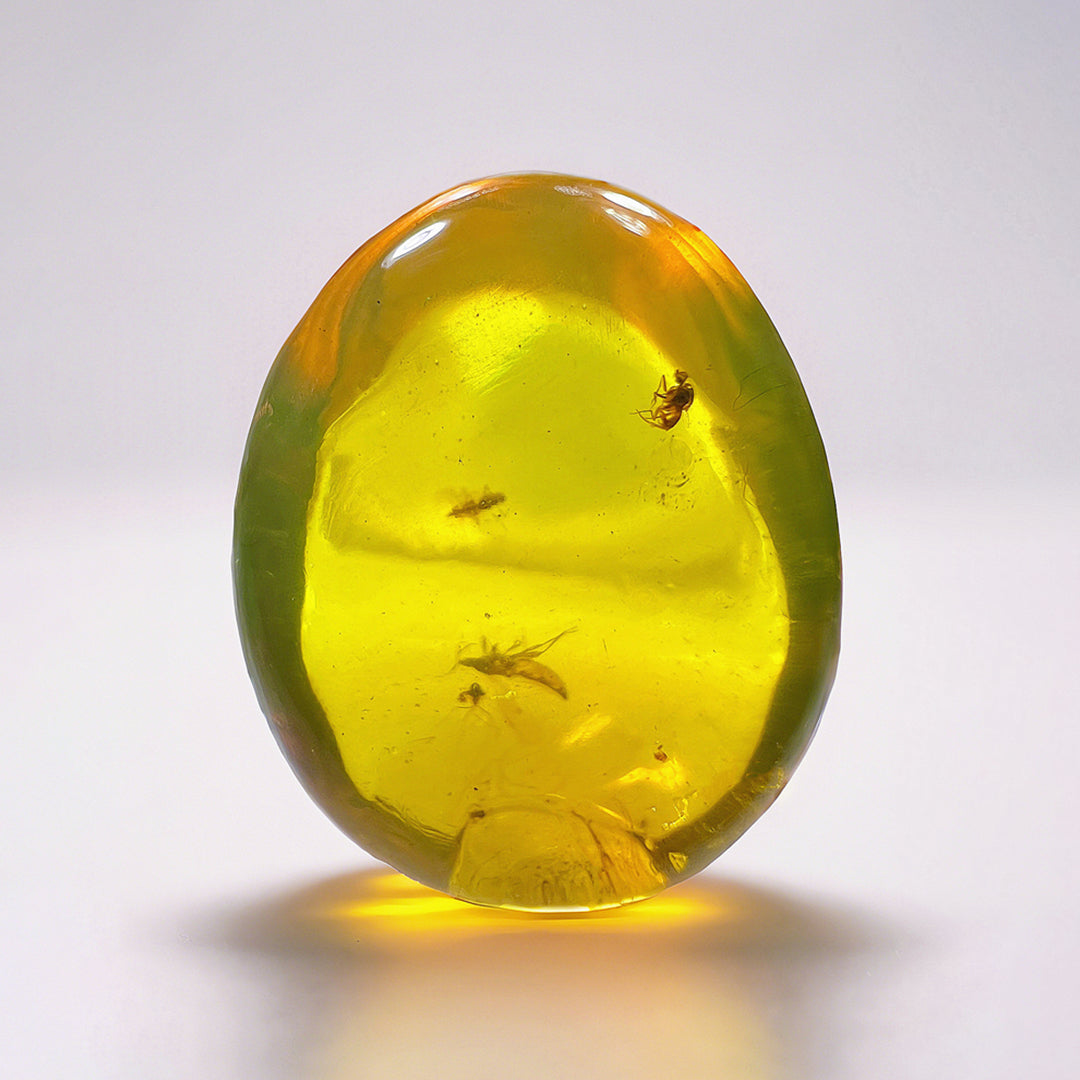 Three Fossil  Anthocoridaes Insect Preserved in Burmese Amber