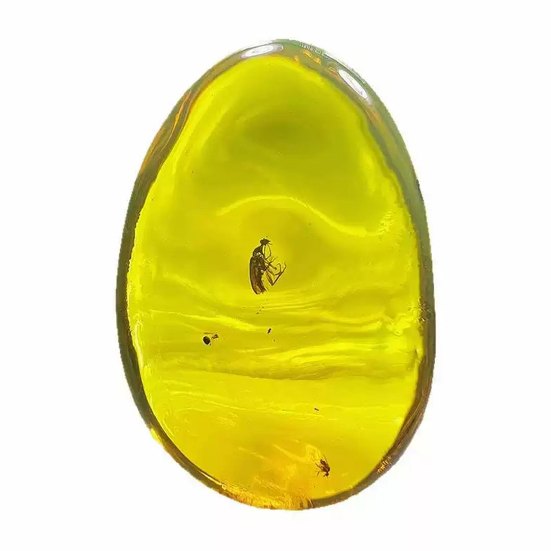 Burmese Amber with Red Fluorescent Insect Trapped for Million Years