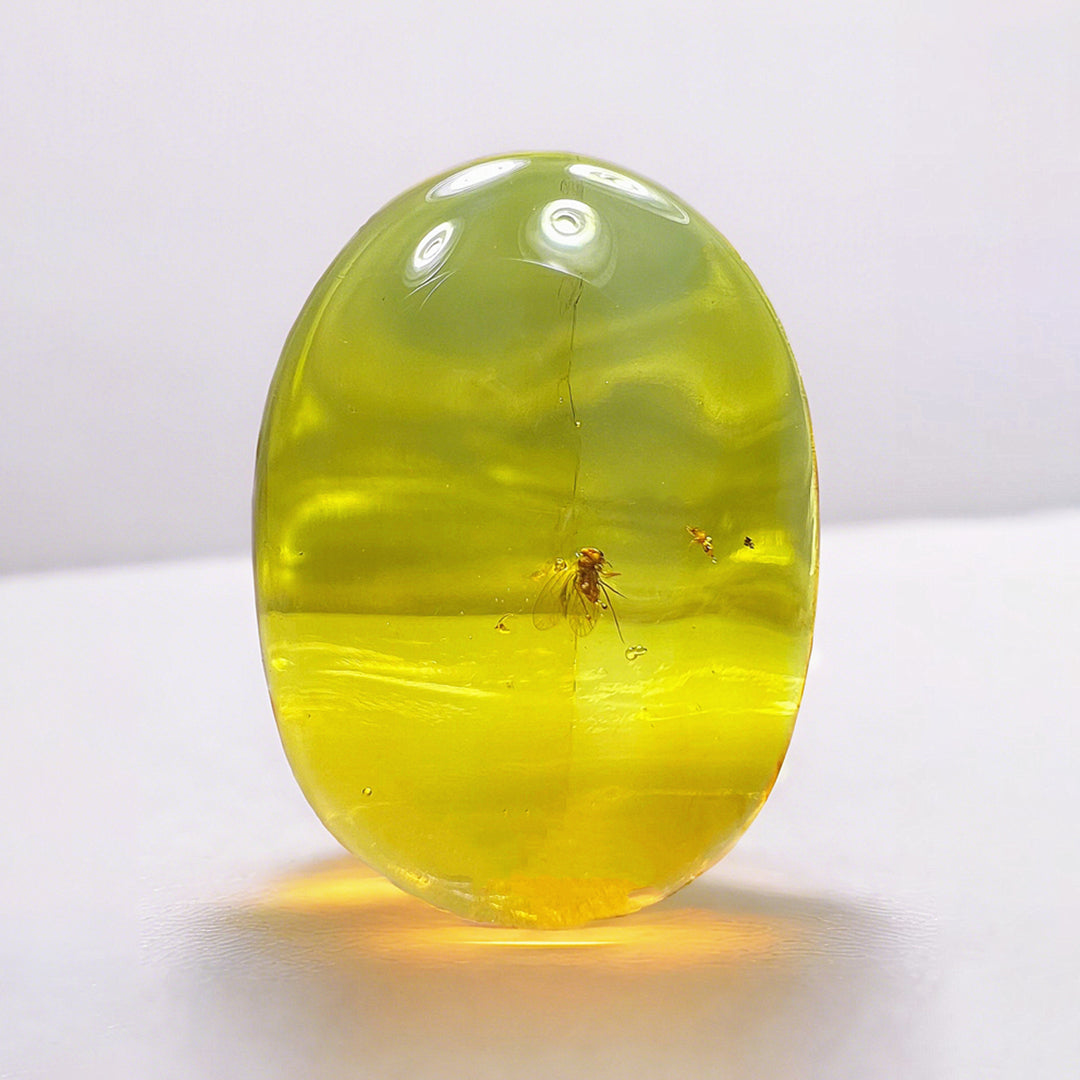 Burmese Amber with Flawlessly Preserved Bee Insect