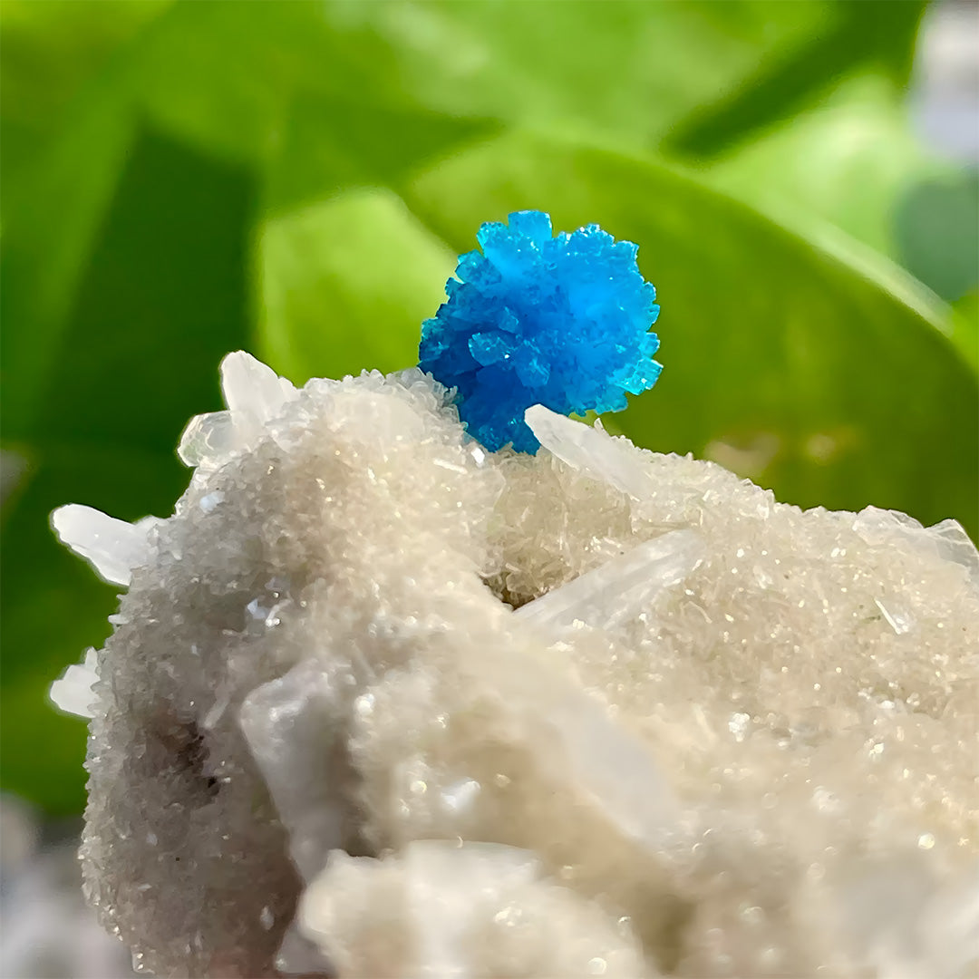 88g Celestial Blue Cavansite on Zeolite Mineral Specimen
