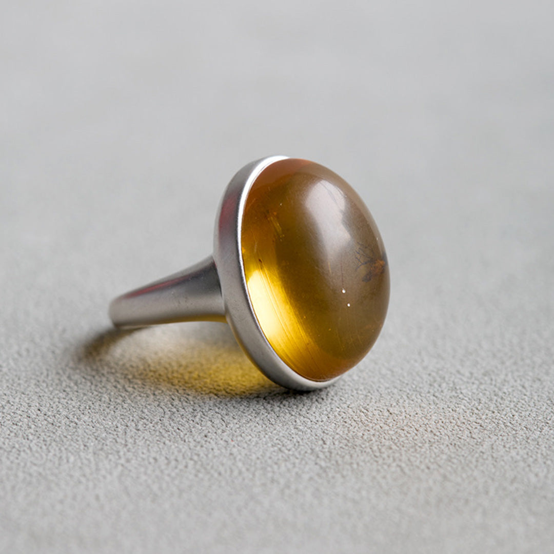 Timeless Treasure One of a Kind Fossil Amber Ring