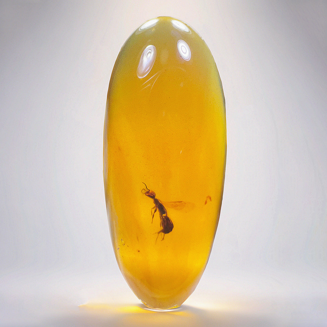 Clear Amber with Perfect Preserved Bee from Billion-Year-Old Era