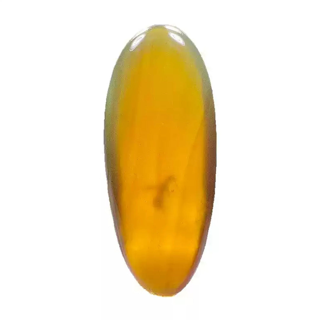 Clear Amber with Perfect Preserved Bee from Billion-Year-Old Era