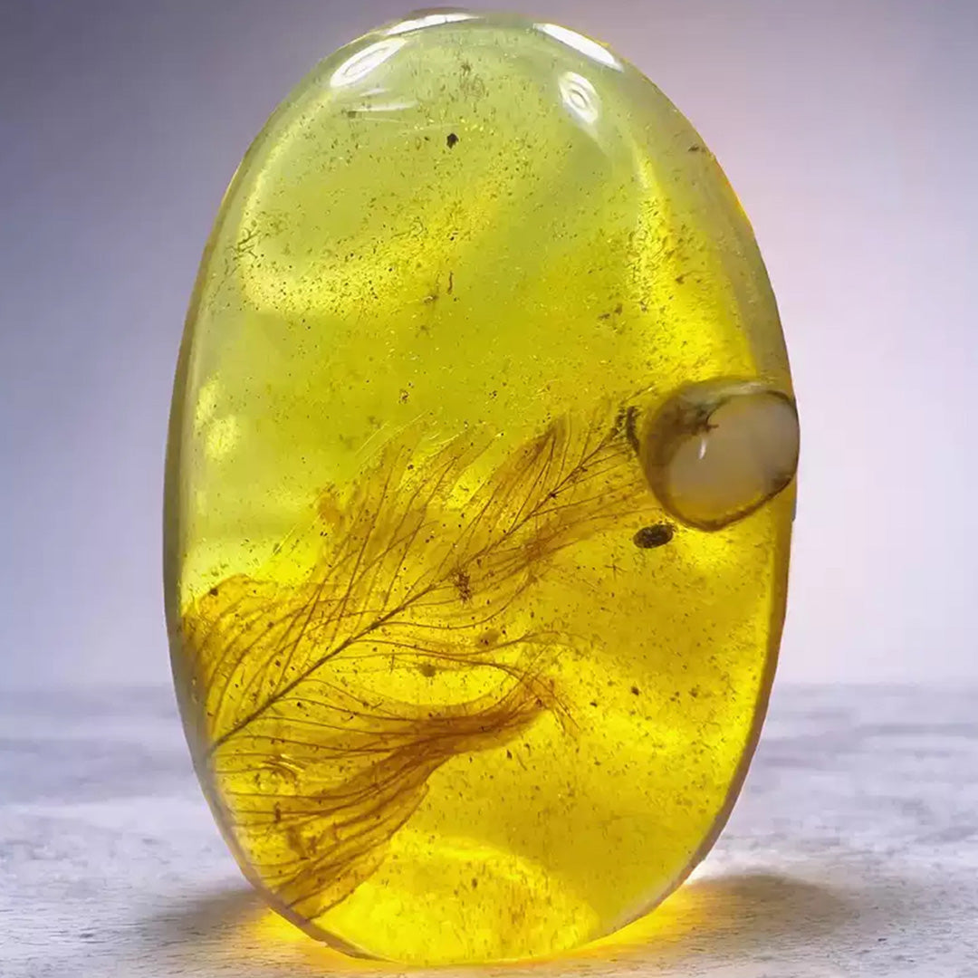 Natural Amber with Jurassic Fossil  Feather Inclusion