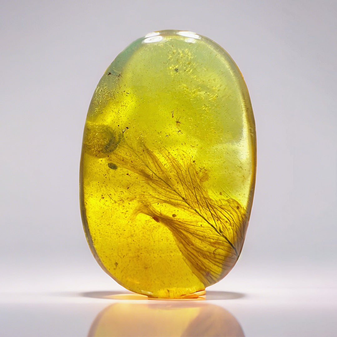 Natural Amber with Jurassic Fossil  Feather Inclusion