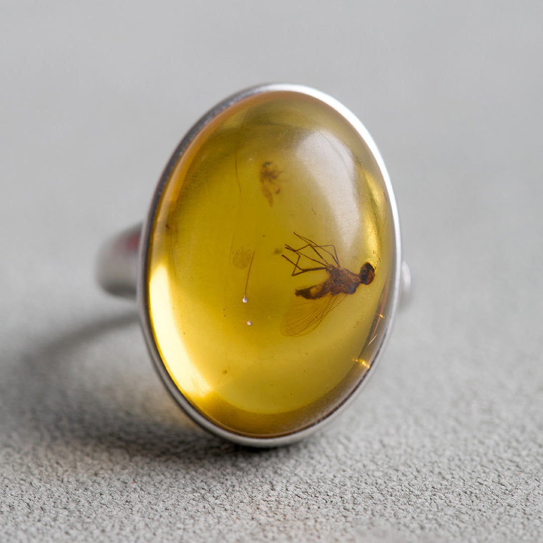 Timeless Treasure One of a Kind Fossil Amber Ring
