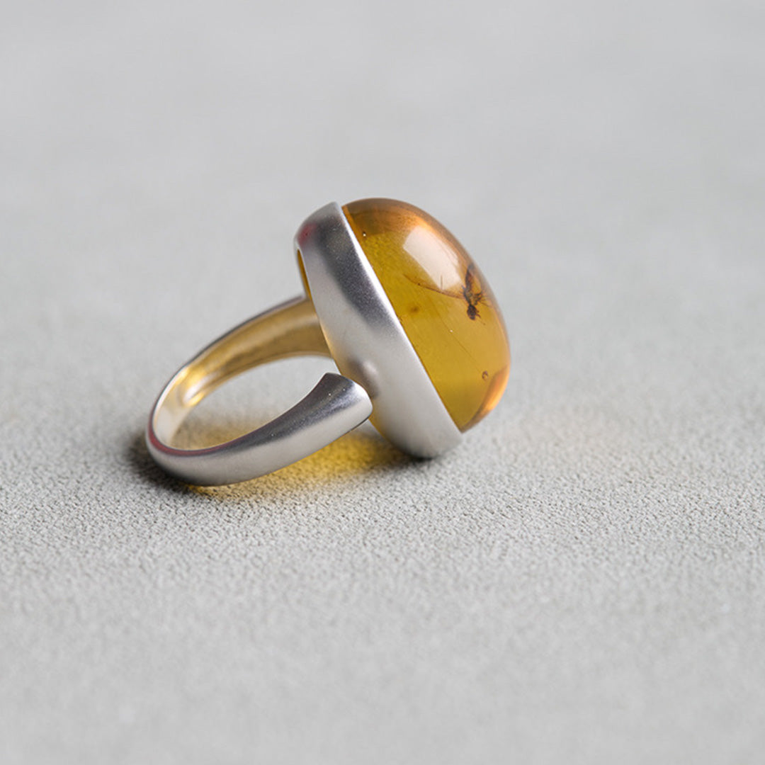 Timeless Treasure One of a Kind Fossil Amber Ring