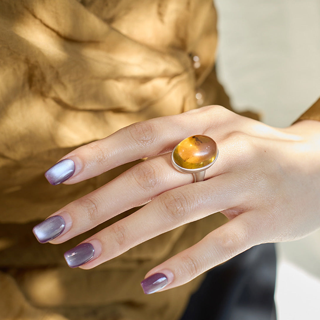 Timeless Treasure One of a Kind Fossil Amber Ring