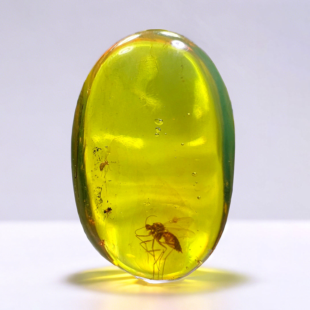 Pair of Mosquito Fossils in Raw Clear Amber