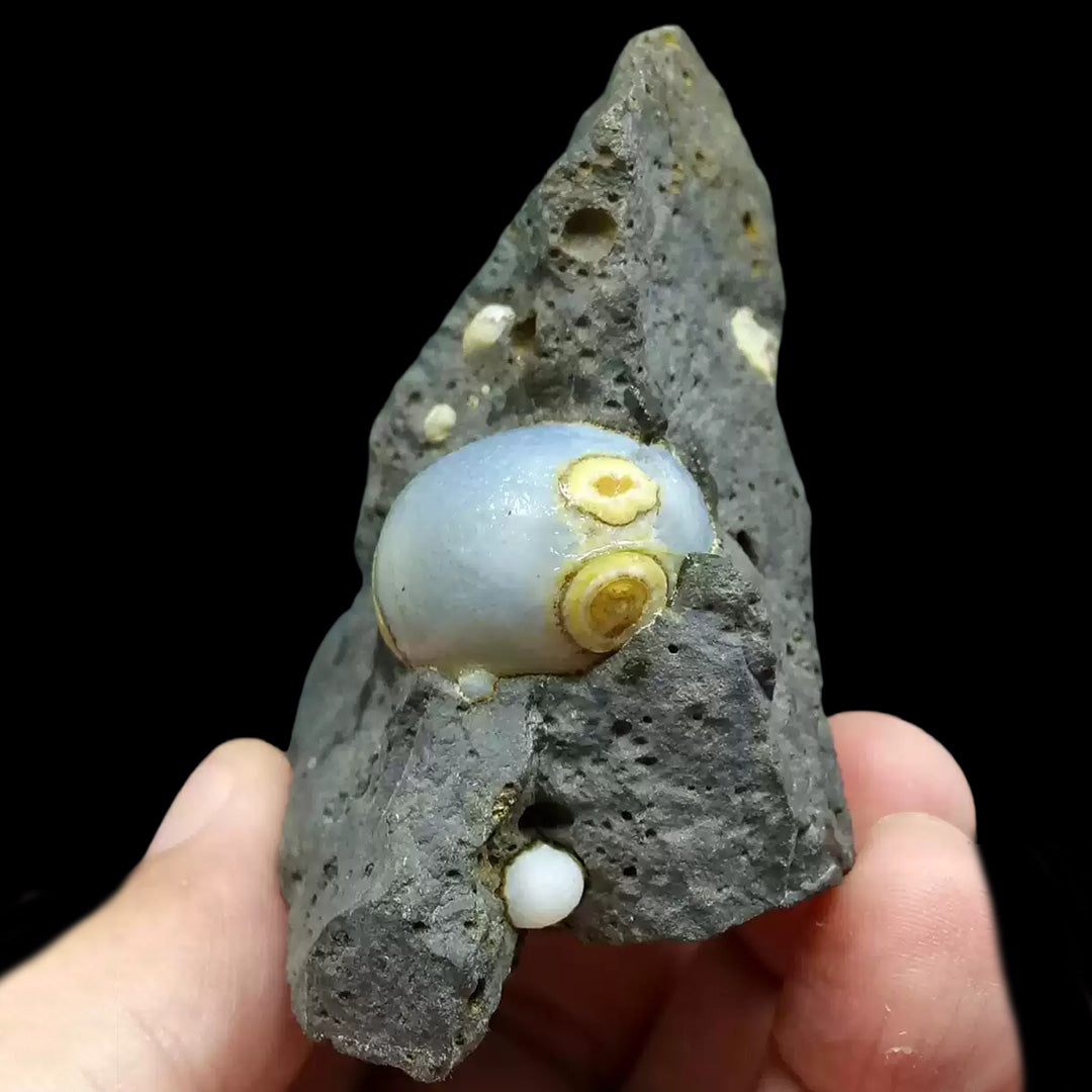 79g Rare Alashan Dzi Agate Eye Stone for Collectors