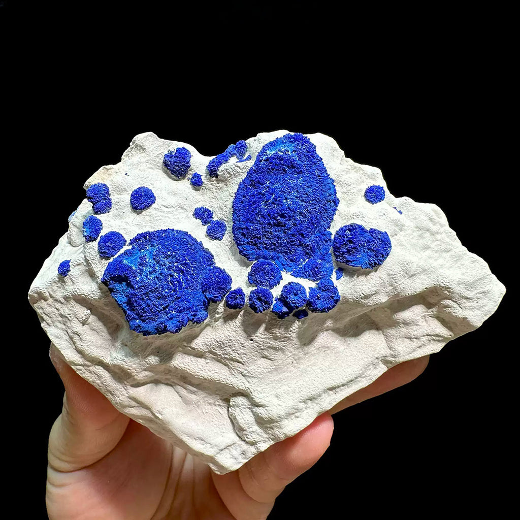 338g Vibrant Blue Azurite Suns on Siltstone