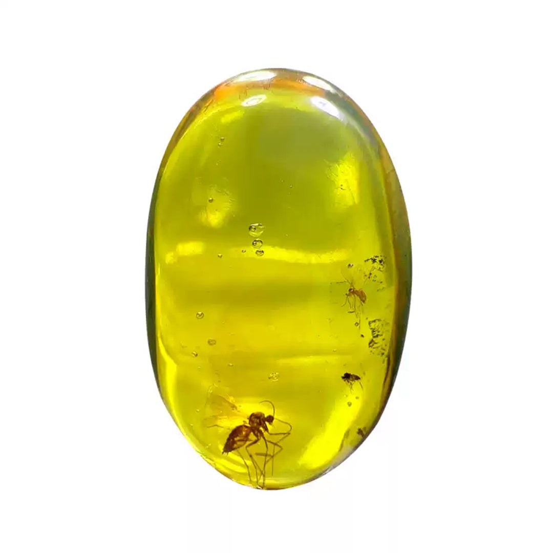 Pair of Mosquito Fossils in Raw Clear Amber