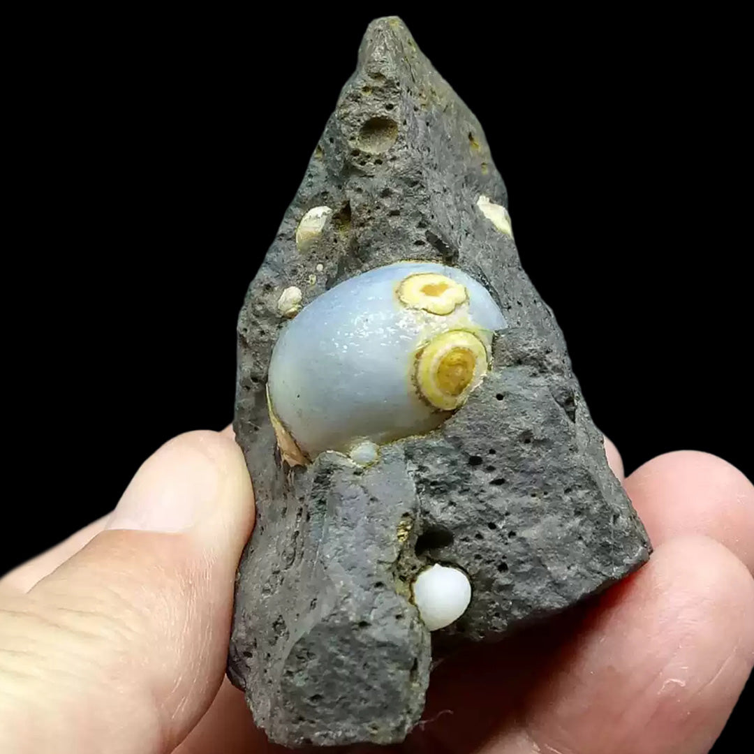 79g Rare Alashan Dzi Agate Eye Stone for Collectors