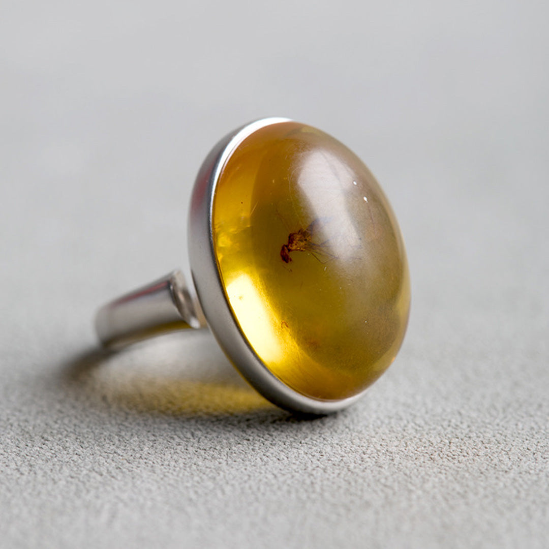 Timeless Treasure One of a Kind Fossil Amber Ring