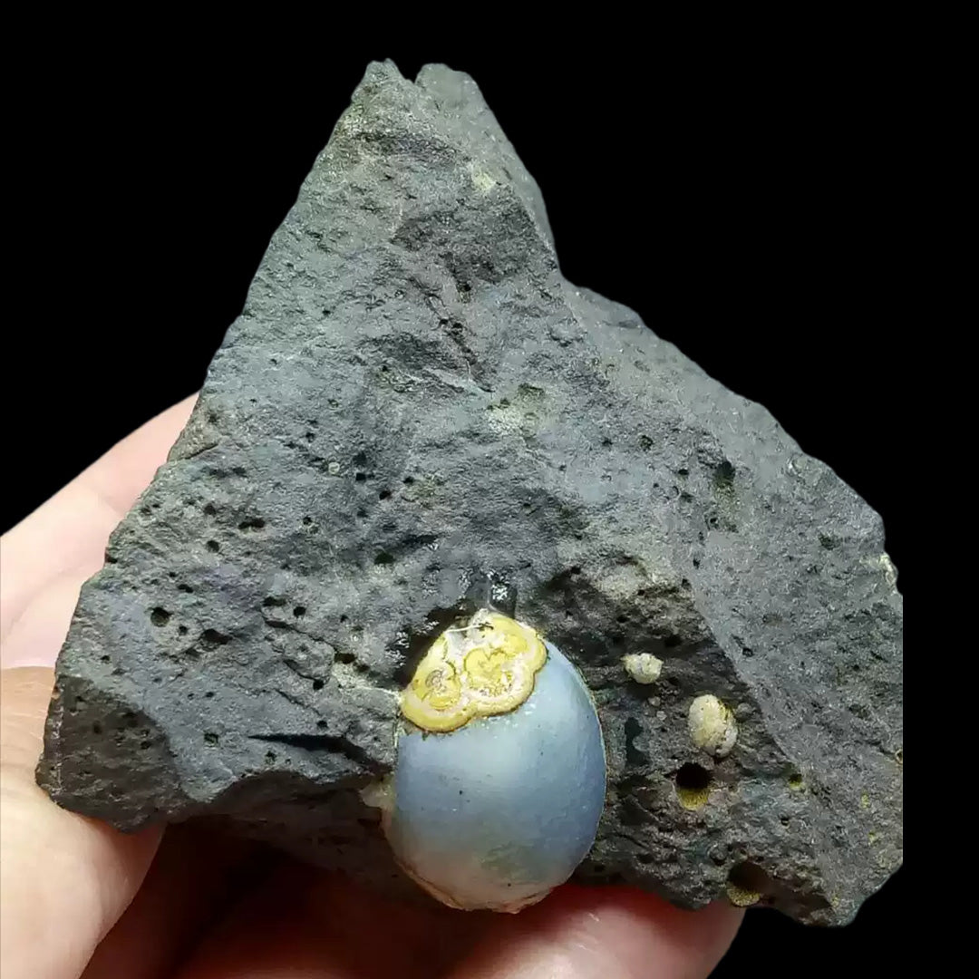 79g Rare Alashan Dzi Agate Eye Stone for Collectors