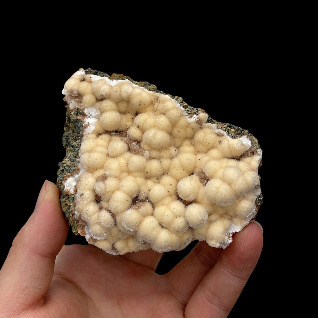 232g Premium Indian Dandelion Zeolite - Intense Phosphorescent Glow