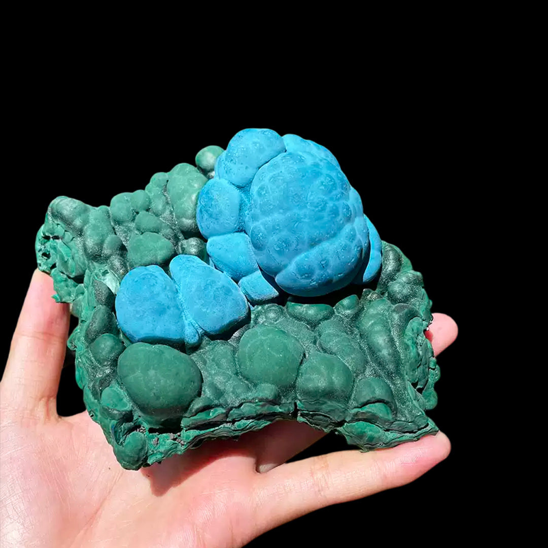 864.5g Exceptional Chilean Blue-Green Malachite Raw Gemstone