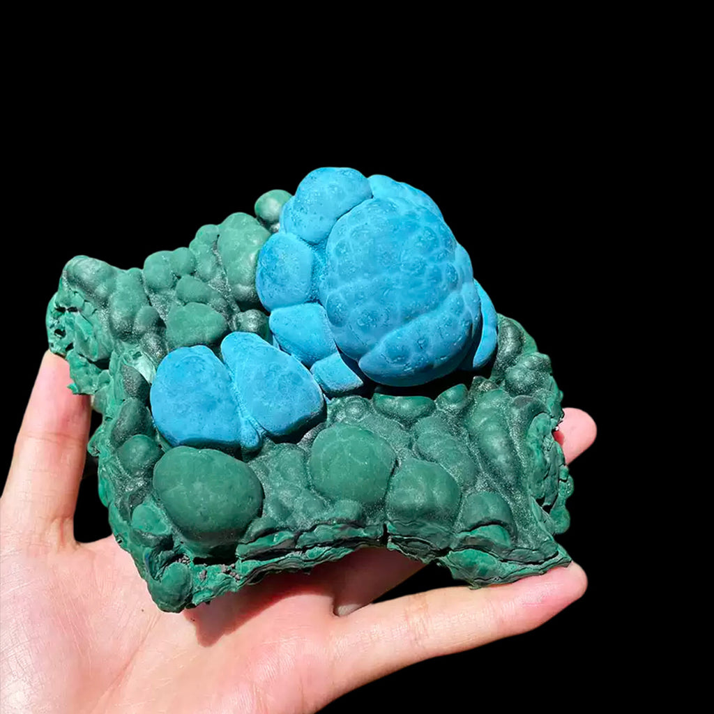 864.5g Exceptional Chilean Blue-Green Malachite Raw Gemstone